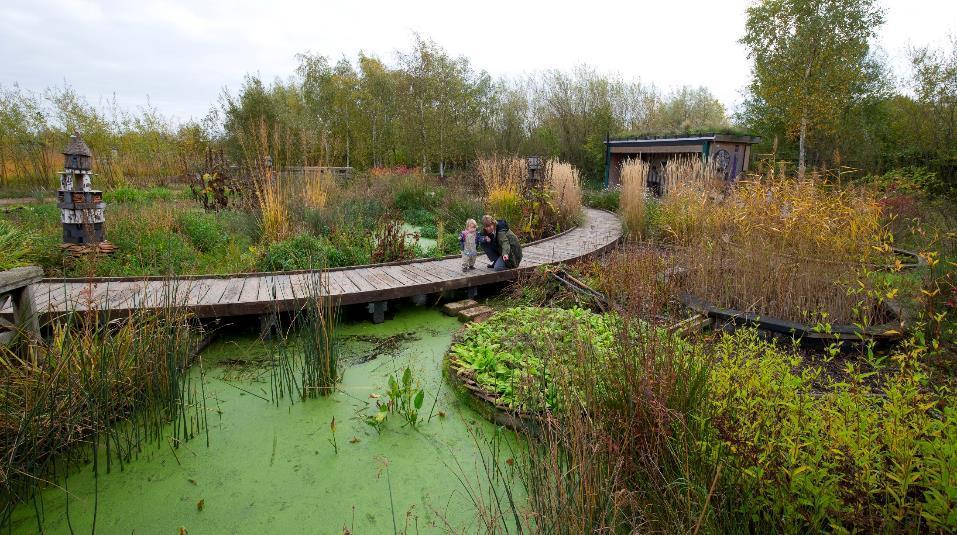 Ograniczenie ryzyka powodzi dzięki inwestycjom hydrotechnicznym i niebiesko-zielonej infrastrukturze 19 Nov 2014.