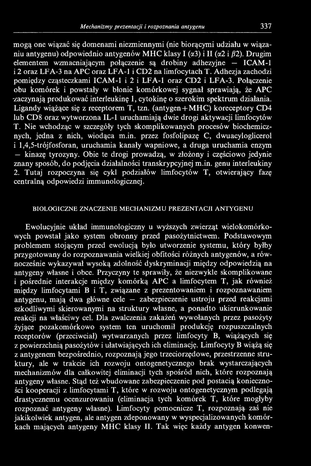 Adhezja zachodzi pomiędzy cząsteczkami ICAM-1 i 2 i LFA-1 oraz CD2 i LFA-3.
