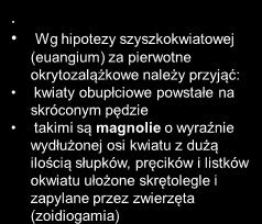 hipotezy kwiat jest skróconym pędem, a jego części przekształconymi liśćmi kwiaty jednopłciowe (tj.