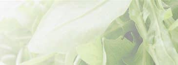 foam has a high density and