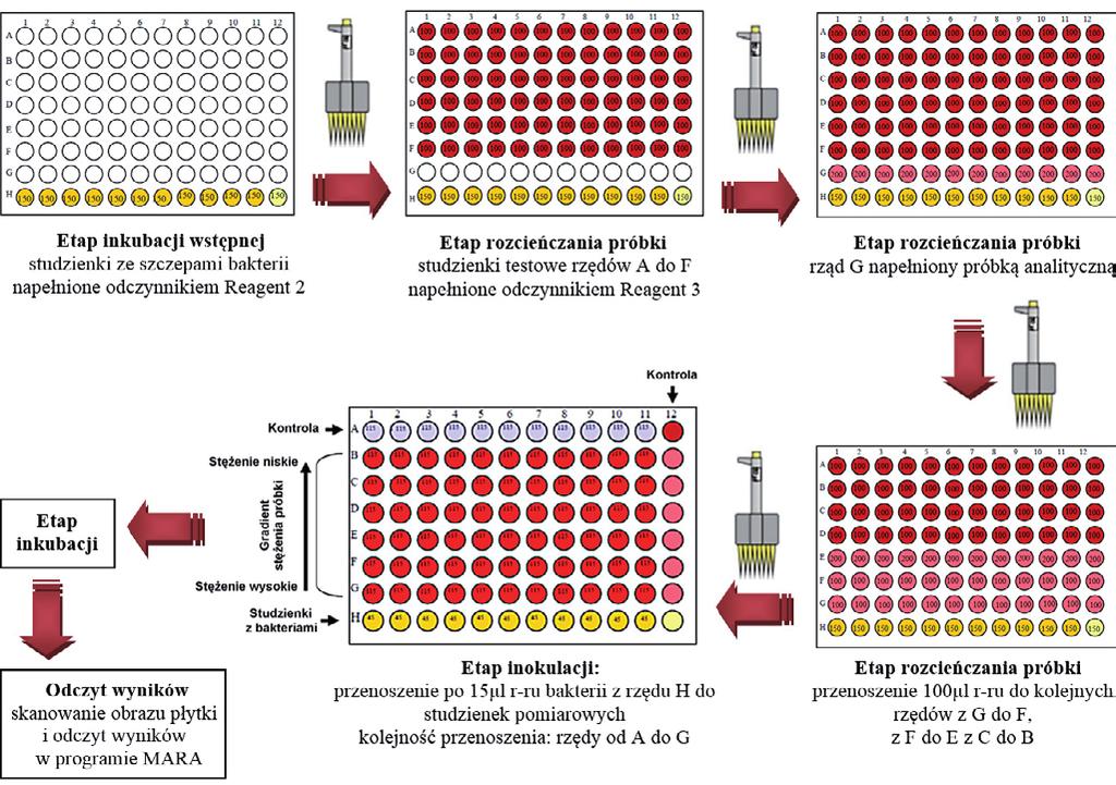 3. Badanie procesu biodegradacji węglowodorów ropopochodnych i wielopierścieniowych węglowodorów aromatycznych w warunkach ex situ W systemie MARA toksyczność próbki oceniana jest na podstawie