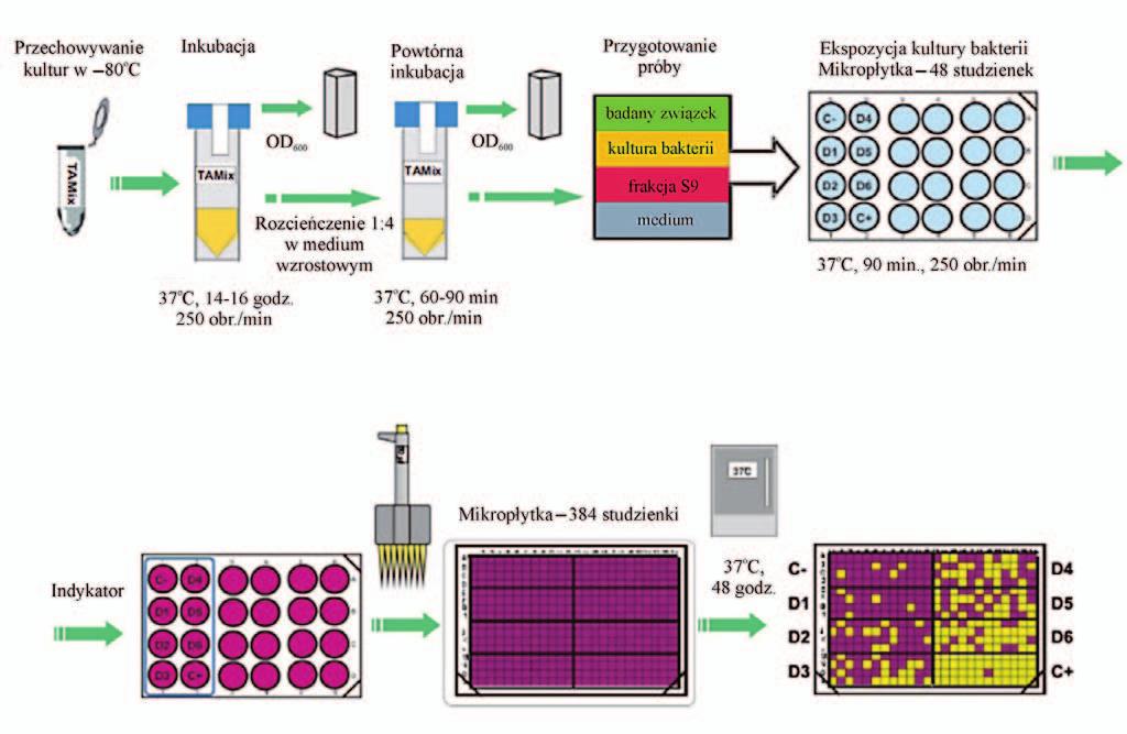 Ocena składu zanieczyszczeń gleb skażonych TPH i WWA pod kątem opracowania technologii ich bioremediacji wyspecjalizowane laboratoria.