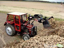 .pl https://www..pl fot. agrofoto.pl (jakub1141) Wiele maszyn Massey Ferguson 255 wciąż z powodzeniem pracuje w polskich gospodarstwach.