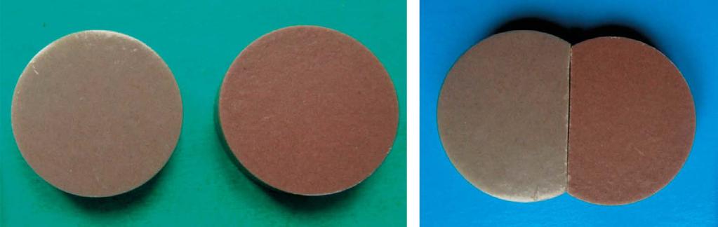 2. Pellets SL-2j (left) and SL-2c (right) and the same peltets when cut Fig. 2. Pastylki SL-2j (po lewej) i SL-2c (po prawej) oraz te same pastylki po przecięciu Fig. 3.