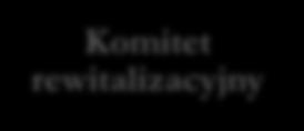 przygotowanie, koordynowanie i tworzenie warunków do prowadzenia rewitalizacji,