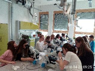 Na stronie internetowej https://biol-chem.uwb.edu.