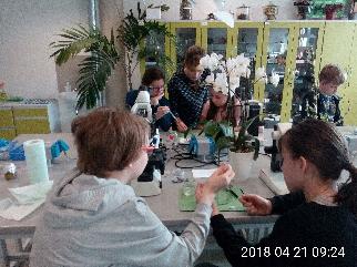 złożonych w ramach dotacji celowych na prowadzenie badań naukowych i prac rozwojowych oraz zadań z nimi związanych, służących rozwojowi młodych naukowców oraz uczestników studiów doktoranckich i