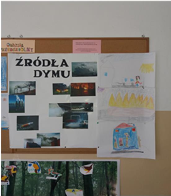 przeprowadzonego doświadczenia