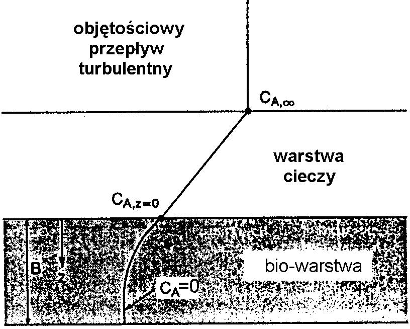 Międzyfazowy transport masy: stan