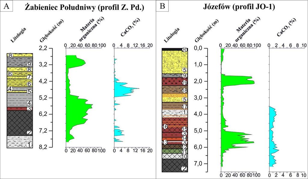 Cechy litologiczne wypełnień wybranych zagłębień bezodpływowych obszaru Wysoczyzny Łódzkiej około 40%) oraz jeszcze mniejszym odsetkiem ziaren nieobrobionych i pękniętych (NU+C).
