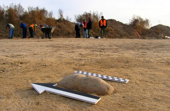RAPORT 2005-2006 Ryc. 35. Budziszów Wielki, stan. 20, gm. Wądroże Wielkie, woj. dolnośląskie. Wykop I/2005. Buława kamienna in situ (fot. G. Daszkiewicz) Fig. 35. Budziszów Wielki, site 20, Wądroże Wielkie commune, dolnośląskie voivodeship.