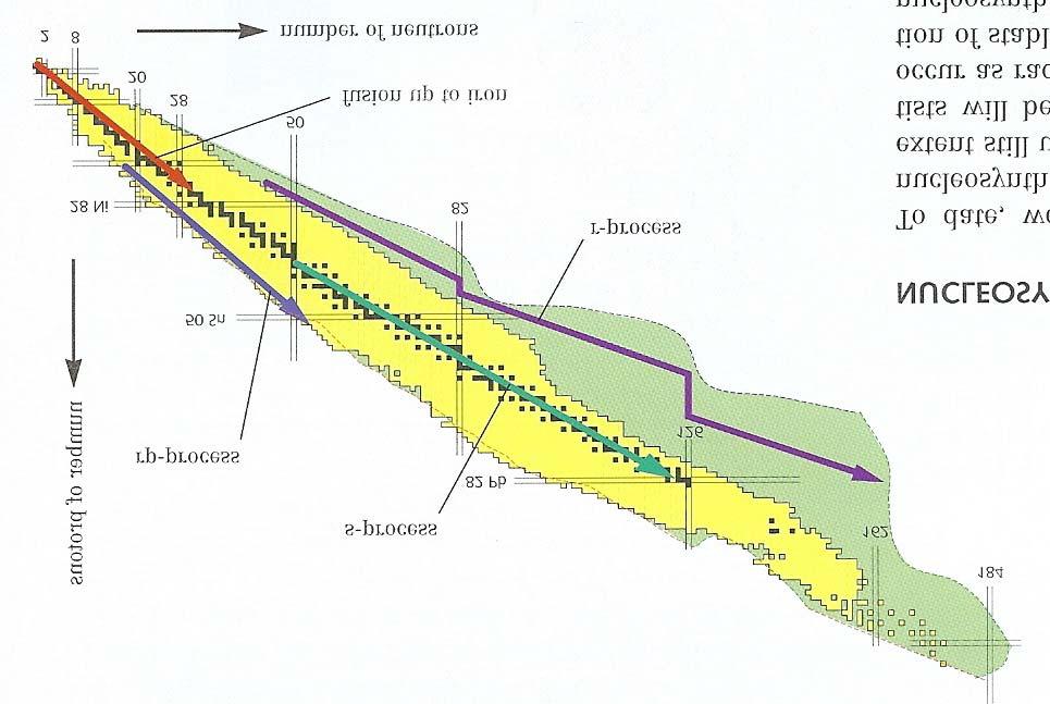 Badanie procesów nukleosyntezy Proces rp rapid proton capture 3.