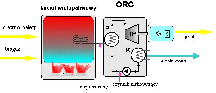 Siłownie biomasowe CHP-ORC Siłownia kogeneracyjna w obiegu parowym ORC; P parownik, TP turbina parowa, K kondensator, G generator.