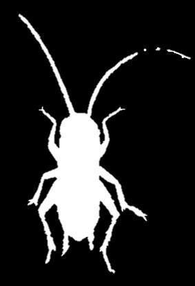 Biologicznej