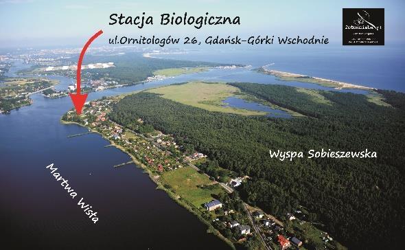 Kilka słów o bazie rezyduje na terenie Stacji Biologicznej UG, mieszczącej się w Górkach Wschodnich, na Wyspie Sobieszewskiej (54,34849 N, 18,7967