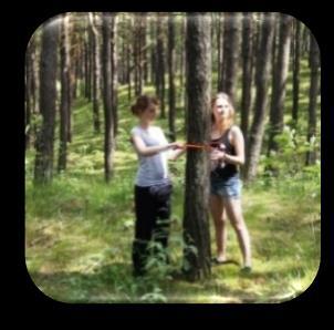 podstawowych i ponadpodstawowych.