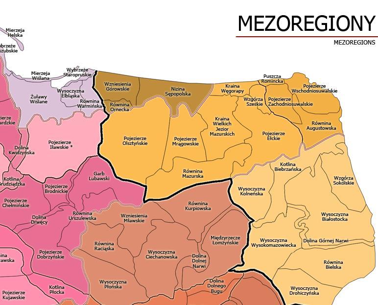 Rysunek 5. Położenie Gminy Wiżajny na tle regionów fizycznogeograficznych Źródło: Kondracki J., Geografia regionalna Polski, PWN, 2002 r. Krajobraz gminy formował się w czwartorzędzie.