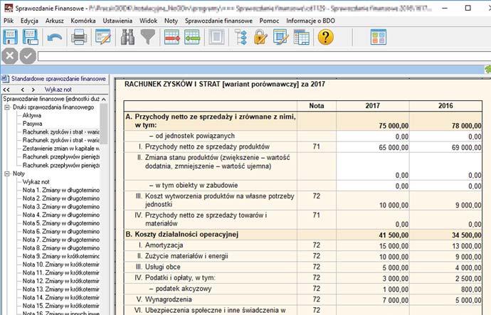 Sprawozdanie finansowe program komputerowy z roczną licencją (do pobrania)  - PDF Darmowe pobieranie