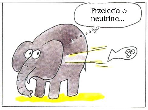 Wielu fizyków sądzi więc, że wiek XXI będzie wiekiem neutrin, w którym cząstki te przestaną być jedynie przedmiotem badań podstawowych, a staną się nowym, cennym narzędziem badań stosowanych i