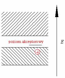 trójwartościowej (akceptora) powoduje wytworzenie dziury słabo związanej z siecią.