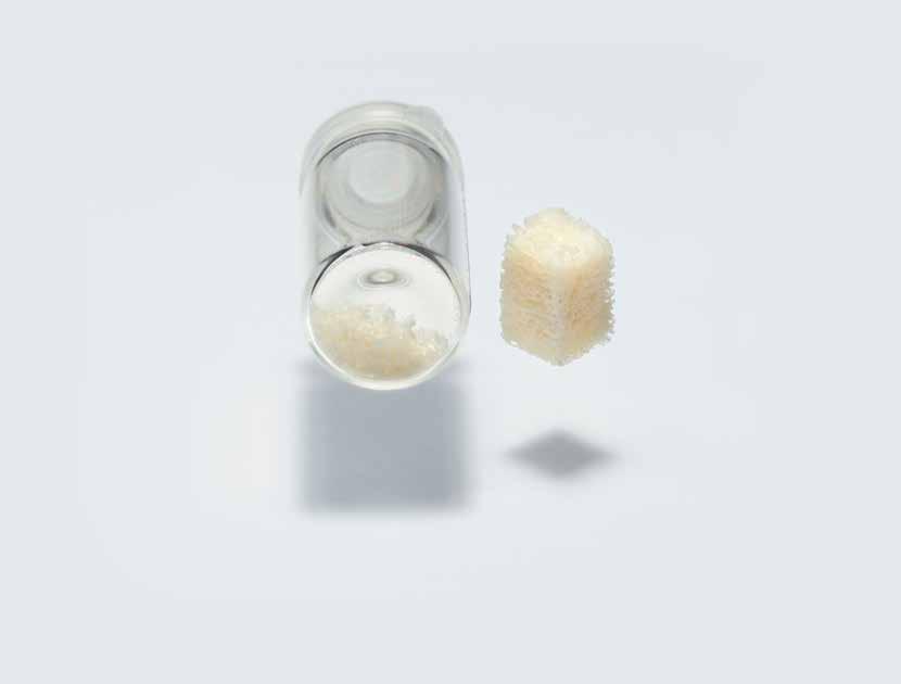 maxgraft PROCESSED HUMAN BONE GRAFT ONLINE EDUCATION starget.straumann.com www.
