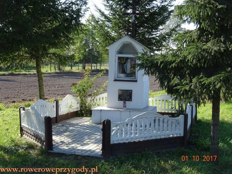 W pewnym momencie miniemy ładne wierzby, położone przy drodze pośród łąk i pól (zdjęcie nr 9). Zdjęcie nr 9 Tereny rolnicze w okolicy Kulczyna.