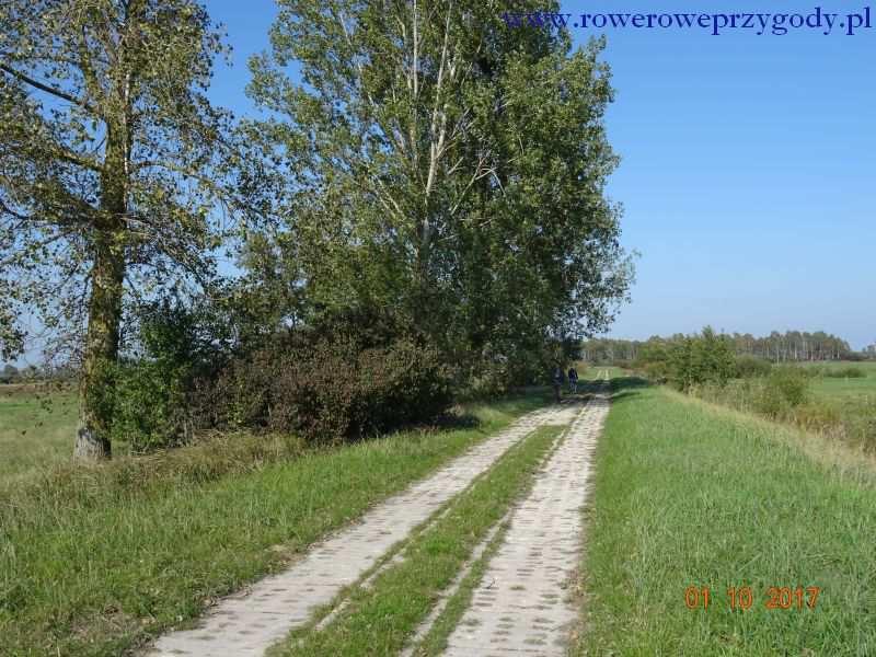 Na szosie skręcamy w lewą stronę. Przed nami kilku kilometrowy odcinek jazdy drogą asfaltową, która w niektórych miejscach jest popękana i pokryta starą nawierzchnią asfaltową.