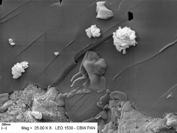 2. SEM photos of cement mortr with precipitted NCl. N Rys.