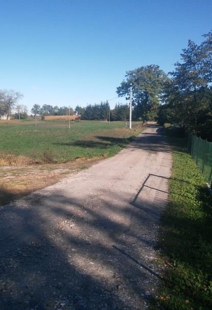 Wysoki odsetek osób w wieku nieprodukcyjnym, w tym osób młodych powoduje, że potrzeby rozwoju takiej infrastruktury są coraz większe, ponieważ coraz więcej osób jest zainteresowanych aktywnym