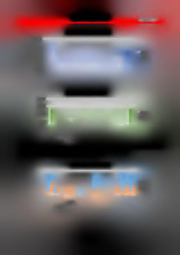 Jednostkowy raport roczny za