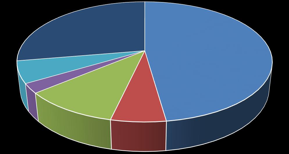 Akcjonariusze posiadający poniżej 5% udziału w ogólnej liczbie głosów 27,69% DSA FG SA 47,76% Nolmanier LTD 5,87% Dariusz Czyż 2,54% Quercus TFI S.A. 10,30% Andrzej Dadełło 5,83% Struktura