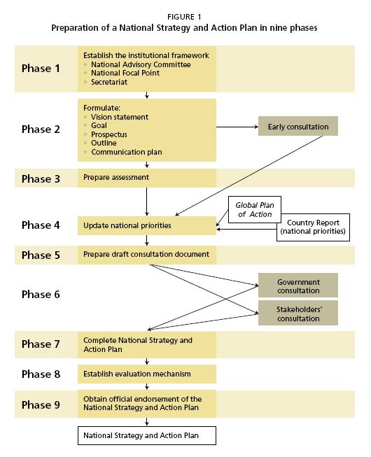 Proces przygotowania Krajowej