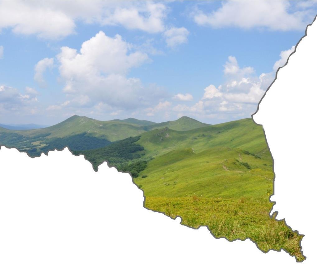 Zakład Analizy