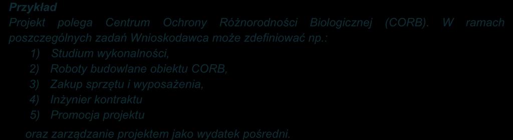 : 1) Studium wykonalności, 2) Roboty budowlane obiektu CORB, 3) Zakup sprzętu i wyposażenia, 4) Inżynier kontraktu 5) Promocja projektu oraz zarządzanie projektem jako wydatek pośredni.