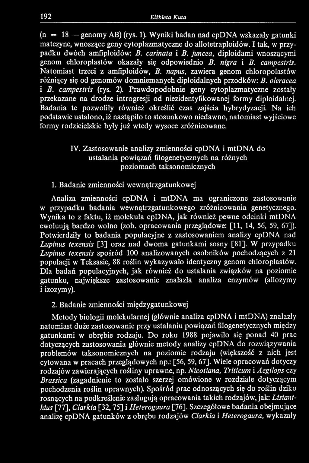 Badania te pozwoliły również określić czas zajścia hybrydyzacji Na ich podstawie ustalono, iż nastąpiło to stosunkowo niedawno, natomiast wyjściowe formy rodzicielskie były już wtedy wysoce