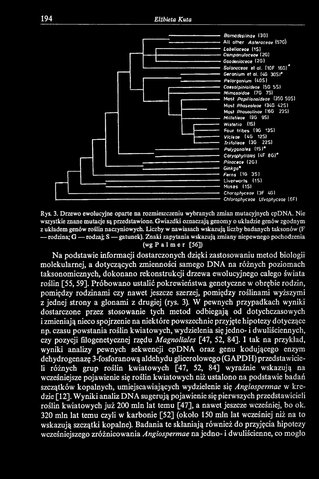 13S) Vicieae (4G 12S) Trifolieae (3G 22S) Polygonales (1S)* Caryophyllales U F 8 G )* Pinaceae (2G ) Ginkgo* Ferns 0 6 3S ) Liverworts OS) Moses (IS ) Charophyceae (3F 4G) 23S1 Chlorophyceae