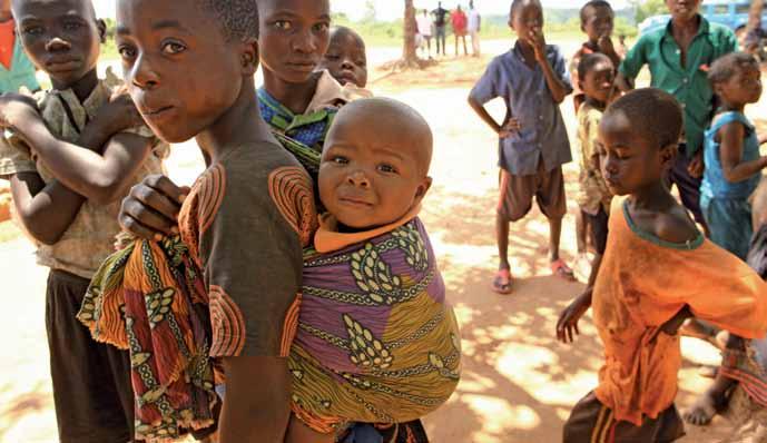 W Malawi możemy podziwiać niesamowitą przyrodę i jej bogactwo: słonie, hipopotamy, zebry, krokodyle i wiele gatunków ptaków, które występują na przykład w Parku Narodowym Liwonde, znajdującym się w