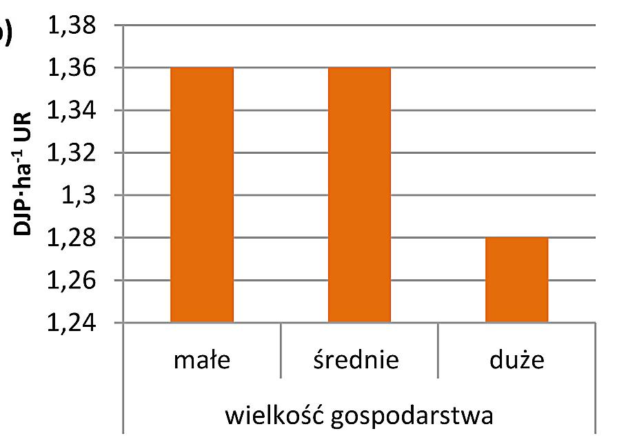Gospodarstwa małe i średnie prowadzą różną działalność produkcyjną. Zajmują się chowem trzody chlewnej, bydła mlecznego i opasowego oraz produkcją roślinną.