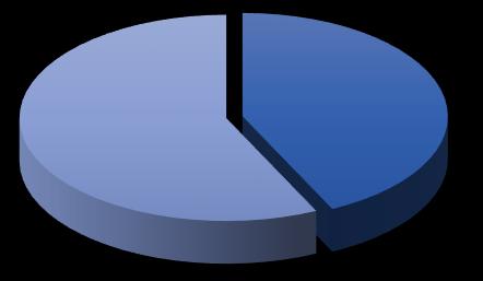 Rys. 2 Struktura akcjonariatu na dzień publikacji raportu skonsolidowanego za II kwartał 2017 roku Patro Invest sp. z o.o. 43% Pozostali Akcjonariusze 57% Patro Invest sp. z o.o. Pozostali Akcjonariusze 9.