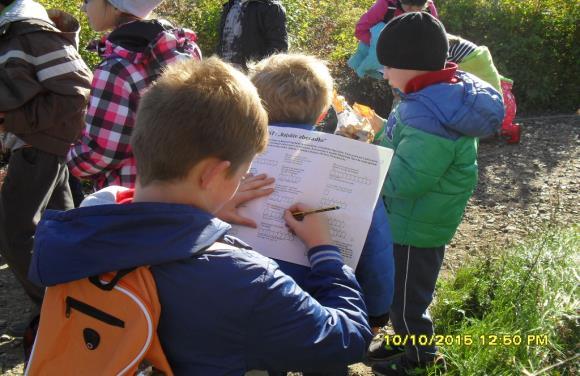 PRIORYTET 5 Ekologia i ochrona przyrody oraz ochrona dziedzictwa przyrodniczego Celem priorytetu była ochrona przyrody oraz ochrona dziedzictwa przyrodniczego.