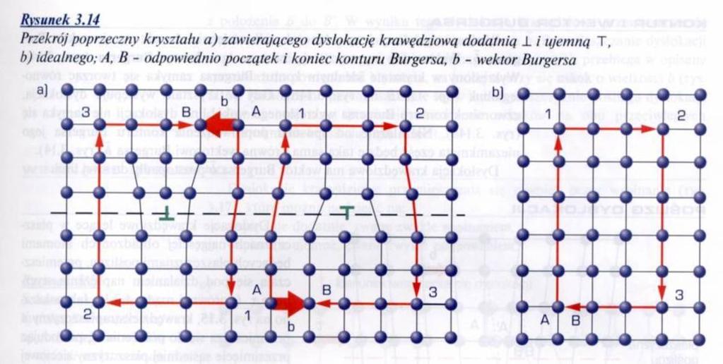 Wielkość dyslokacji i wywołane nią odkształcenie charakteryzuje wektor