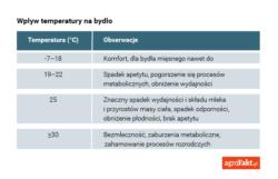 W tym celu pastwisko dla bydła powinno zawierać stały dostęp do wody pitnej oraz schronienia zacienienia. Stały dostęp do wody na pastwisku jest koniecznym i niezbędnym elementem żywieniowym.