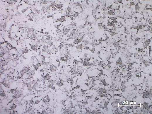 3. Examples of N18K9M5TPr maraging steel microstructures in the delivery