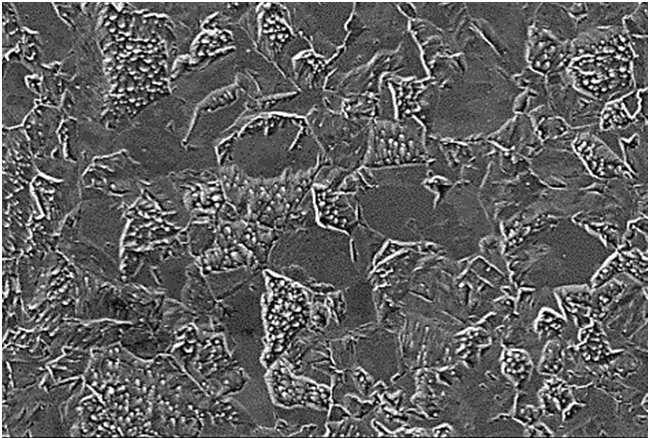 Exemplary microstructures of N18K9M5TPr maraging steel made using a SEM scanning