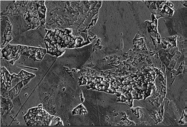 skaningowego mikroskopu elektronowego SEM, stan po przesycaniu Fig. 7.