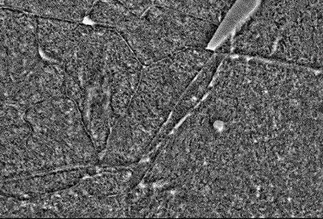 Exemplary microstructures of N18K9M5TPr maraging steel performed using a SEM