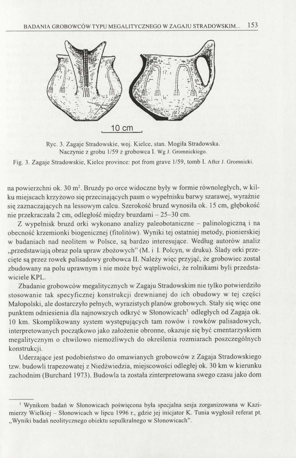 BADANIA GROBOWCÓW TYPU MEGALITYCZNEGO W ZAGAJU STRADO WSKIM... 153 Ryc. 3. Zagaje Stradowskie, woj. Kielce, stan. Mogiła Stradowska. Naczynie z grobu 1/59 z grobowca I. Wg J. Gromnickicgo. Fig. 3. Zagaje Stradowskie, Kielce province: pot from grave 1/59, tomb I.