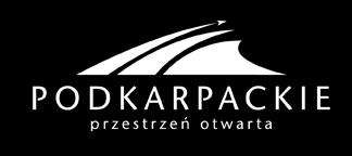 STUDIUM WYKONALNOŚCI DLA