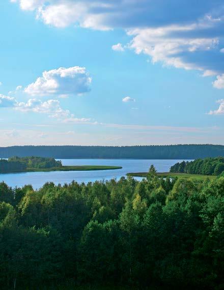 WWW.MALOW.PL OCHRONA ŚRODOWISKA Mając na uwadze wartoś