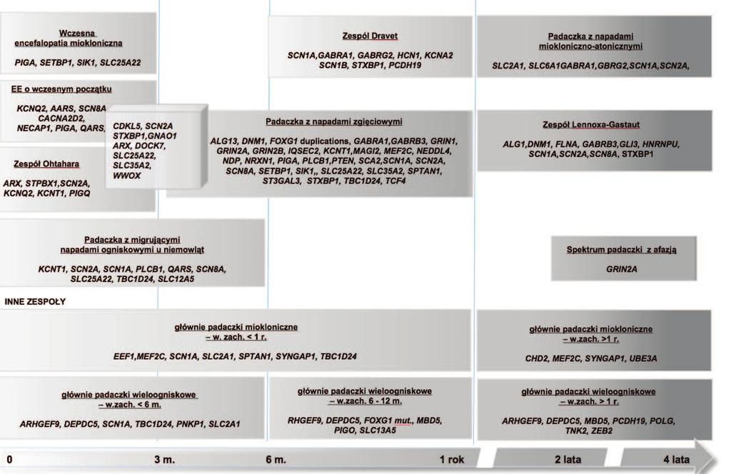 Diagnostyka molekularna encefalopatii padaczkowych Ryc. 1 Heterogenność genetyczna i fenotypowa wczesnodziecięcych encefalopatii padaczkowych wg. McTague i wsp. 2016, Helbig i Tayoun 2016 [6, 7]. Fig.